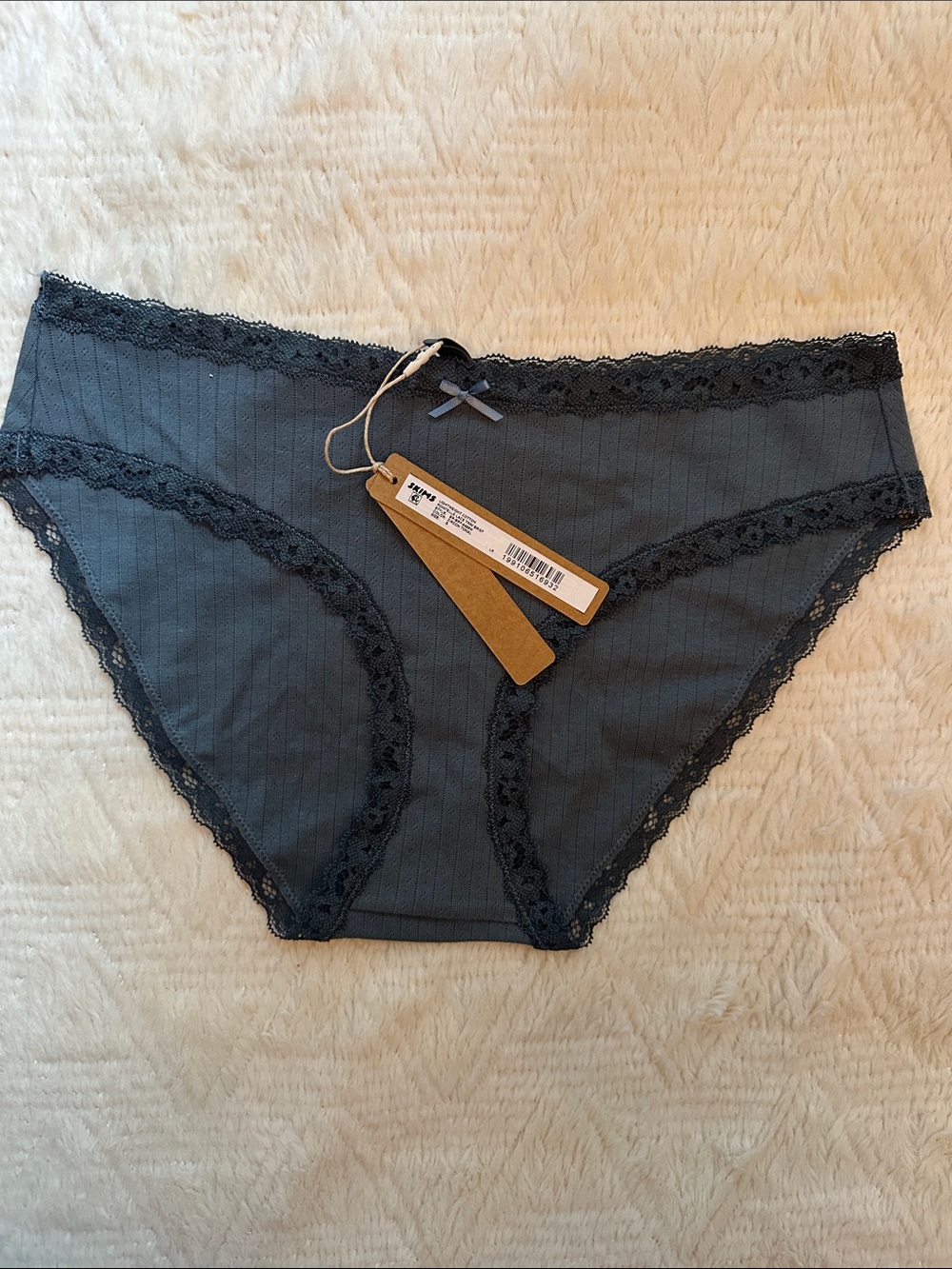 SKIMS Pointelle Lace Trim Brief - Zircon Tonal